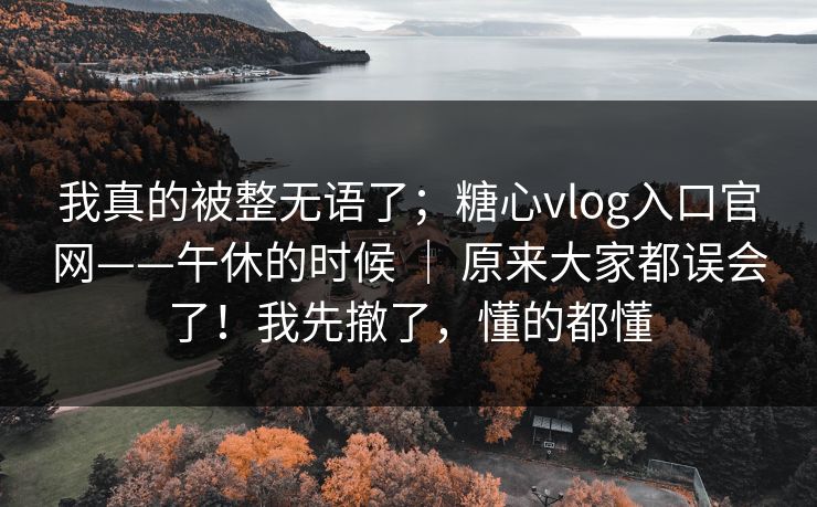 我真的被整无语了；糖心vlog入口官网——午休的时候 ｜ 原来大家都误会了！我先撤了，懂的都懂