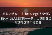 风向突然变了 ｜ 糖心vlog在线教学，糖心vlog入口官网——关于tv端的说法！你觉得这算不算实锤