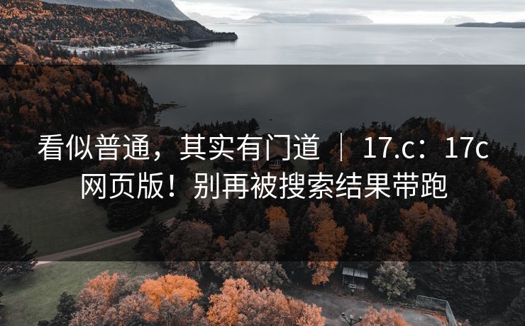 看似普通，其实有门道 ｜ 17.c：17c网页版！别再被搜索结果带跑